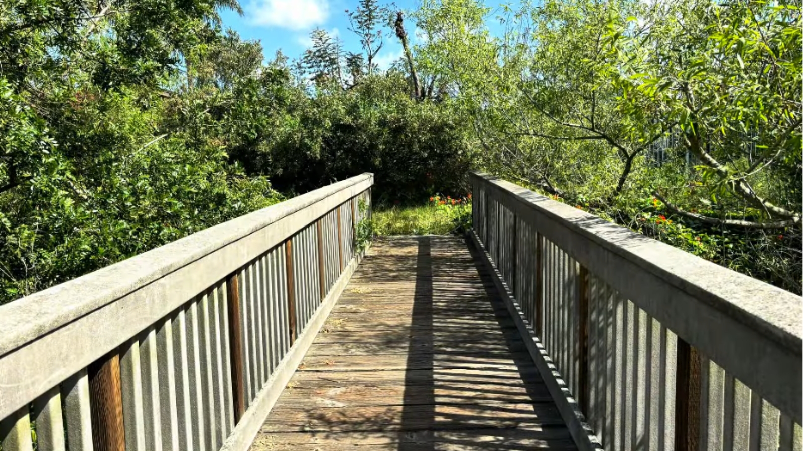 Gardena Willows Wetland Preserve